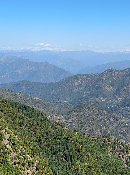 profile image profile image